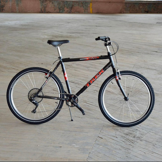 1999 Trek 820 Comfy cruiser